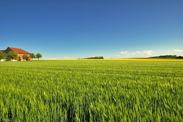 Read more about the article County Test